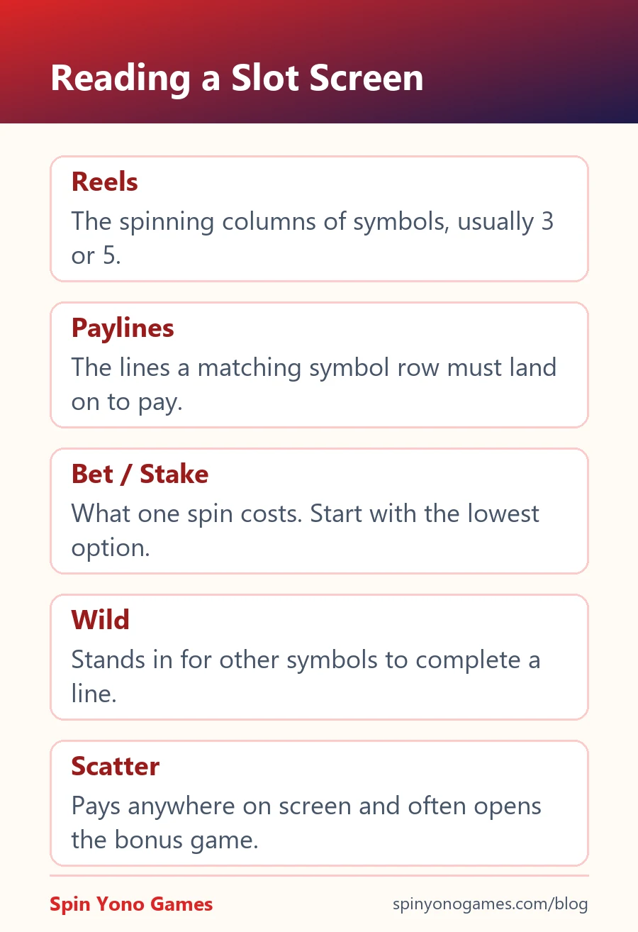 Slot screen parts explained: reels, paylines, stake, wild and scatter